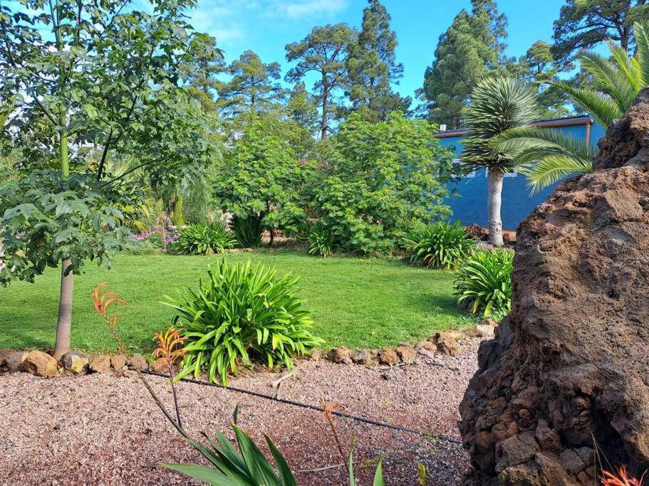 Casa Nogal Lägenhet Puntagorda Exteriör bild