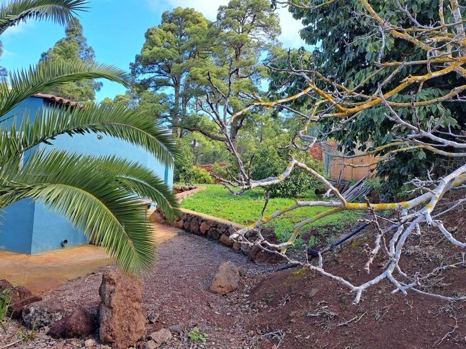 Casa Nogal Lägenhet Puntagorda Exteriör bild