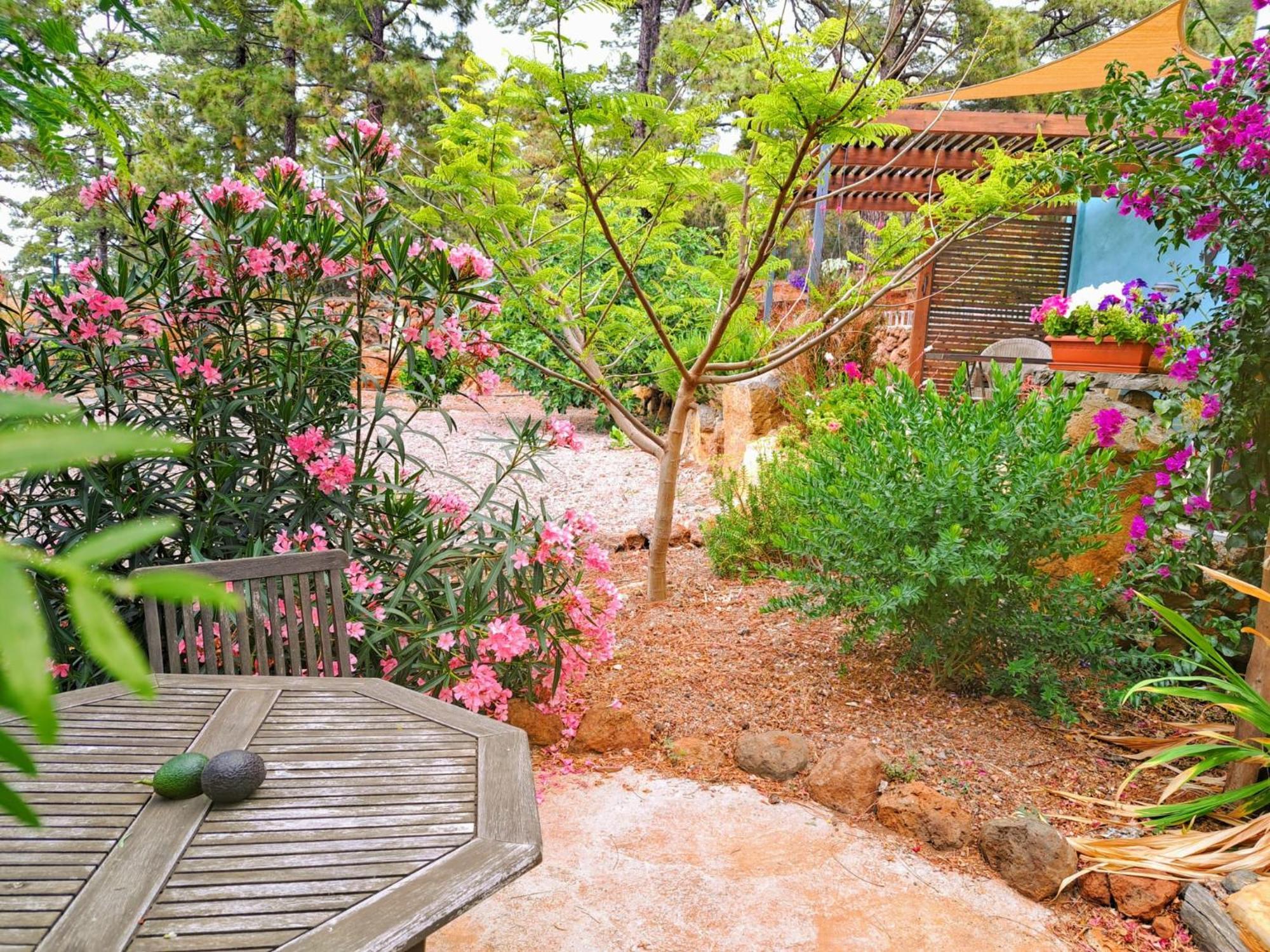 Casa Nogal Lägenhet Puntagorda Exteriör bild